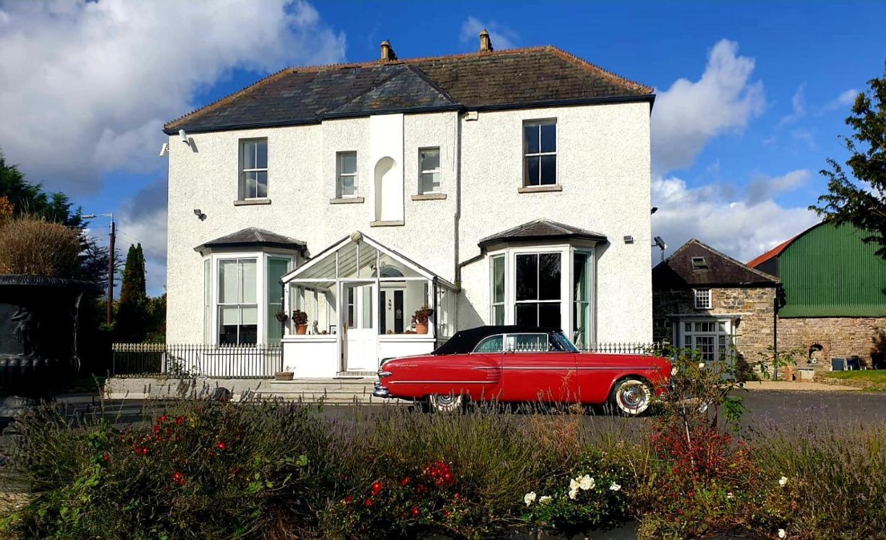 Mount Pleasant Country House Hostal Lucan Exterior foto